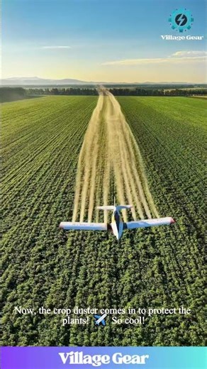 Look at This EPIC Farming Operation! 🤯 From Giant Tractors to Crop Duster Planes! #farming