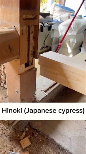 【Japanese carpenter at work】Hinoki (Japanese cypress)