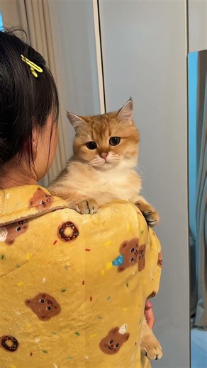 Everyone Thought This Cat Was Picky The Truth Was Heartbreaking😍❤️
