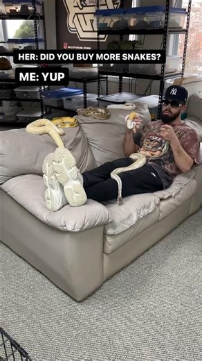 YES I DID BUY MORE SNAKES😂🐍🫶