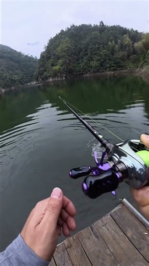 Big Largemouth Bass Fights to the Platform | POV Catch and Reveal