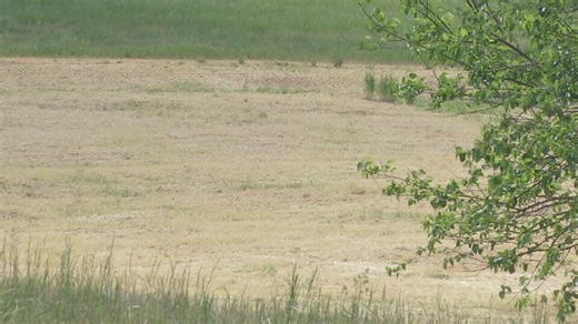 Foothills drought forces farmers to cut crops, delay planting