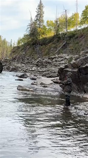Fly Fishing Backcast Practice 🎣 Canyon River Serenity! #fishing