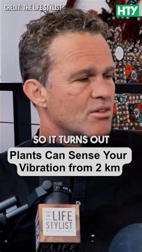 Plants Can Sense You From Miles Away… Seriously 😳🌿