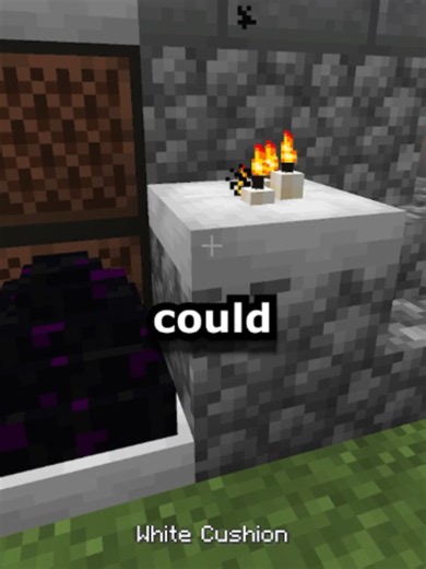 What if Flat Items were EVEN Better? a Flat thanks to@mogswampfor taking over the carpet part ✨ The mods used are: - Amendments - Carpetlogging - Horizontal Glass Panes #minecraft #minecraftmods