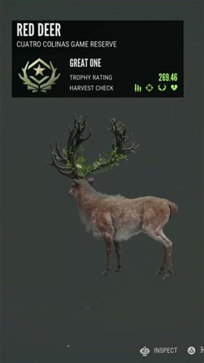 Great One Red Deer-COTW #cotw #hcotw #cotwclips #cotwgameplay #callofthewildgameplay #greatone
