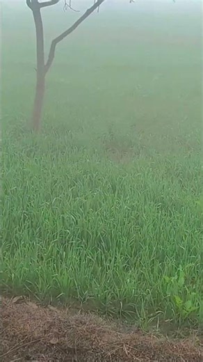 sahil video, sahil action video, sahil