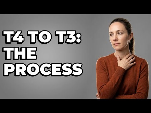 How Is Free T4 Transformed into Active Free T3?