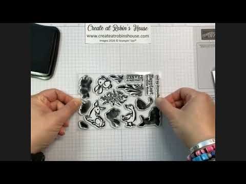 How to Season and Set-Up Your New Stamps