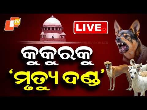 🔴Live | କୁକୁରକୁ ‘ମୃତ୍ୟୁ ଦଣ୍ଡ’ | Street Dog | Supreme Court | Odisha News | OTV