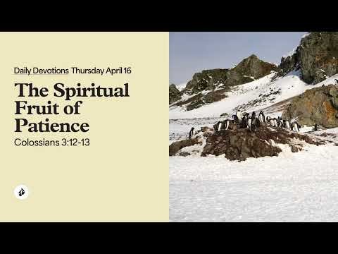 The Spiritual Fruit of Patience – Daily Devotional