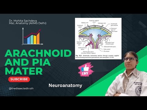 Arachnoid Mater and Pia Mater Anatomy | Meninges Explained
