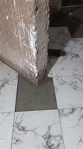 Exploring British and French Celebrity Culture