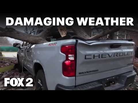 Metro Detroit home destroyed by falling tree amid severe weather