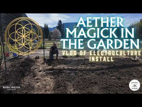 Aether Magick Vlog in The Garden of Eden // Tensor Technology & Electro Culture Creation Flow