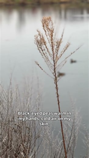 How are you anchoring yourself in 2026?