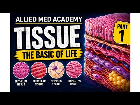 Tissue part 1 | Anatomy and Physiology 