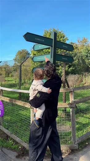 Magical Morning at Howletts Wild Animal Park