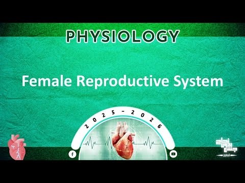 Revision of L3: Female reproductive system,an overview,oogenesis and female sexual cycle; Physiology