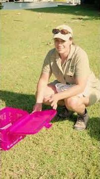 Re-uniting chicks with their family | Rescue Diaries