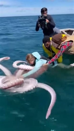 The Giant Squid’s Attacks