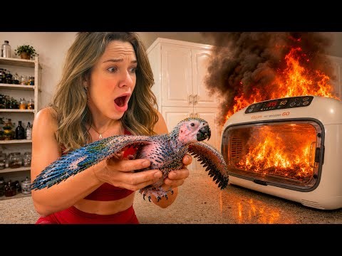 My Incubator EXPLODED With My Baby Animal Inside!