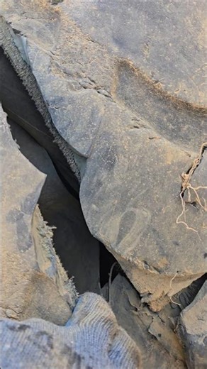 Shovel Tire Burst Badly | Dangerous Tire Explosion 😱