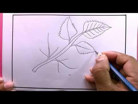 Drawing A Nice Leaf/Drawing Creative Leaf Step By Step #howtodraw #easyleaf #leafdrawing