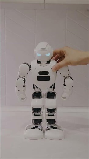 Will Robots Ever Be Truly Human