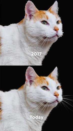 The Story Behind #Photoshop's Select Subject with Meredith Payne Stotzner