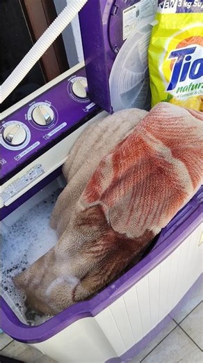 How to Wash Double Bed Blanket in washing machine. #cleaningtips #washingmachine #blanket #viral