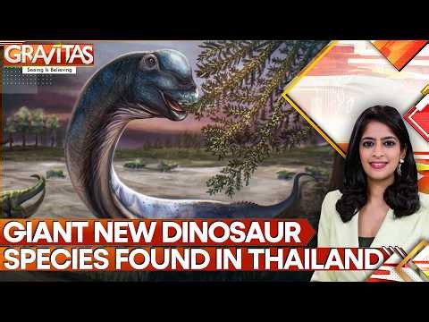 New Long-Necked Dinosaur Species 'Nagatitan' Identified in Thailand | GRAVITAS