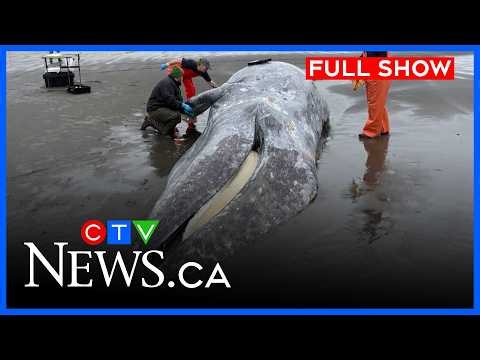 Full Newscast | CTV News Vancouver Island | April 22, 2026