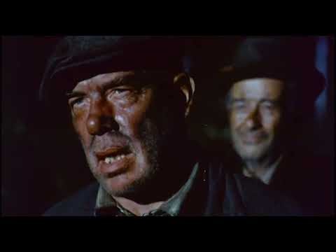 Grindhouse/Drive-In Movie Trailers (1973-1981)