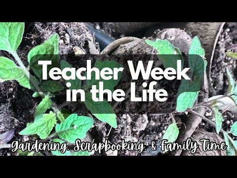 Teacher Week in the Life: Week Before Spring Break!