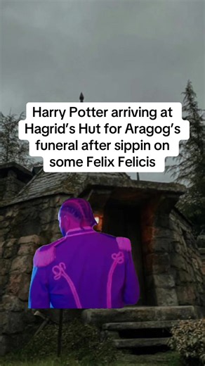 Harry Potter Arrives at Hagrid’s Hut After Drinking Felix Felicis