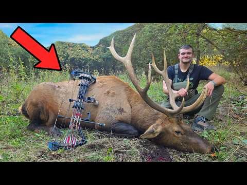 I Hunted Elk with a Bow for the First Time!