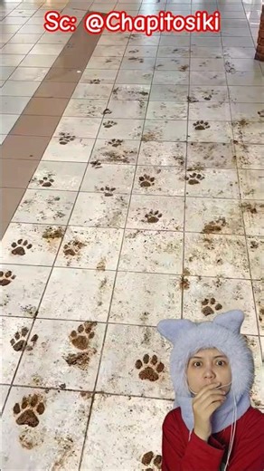 lantainya jadi kotor⁉️ Chapitosiki