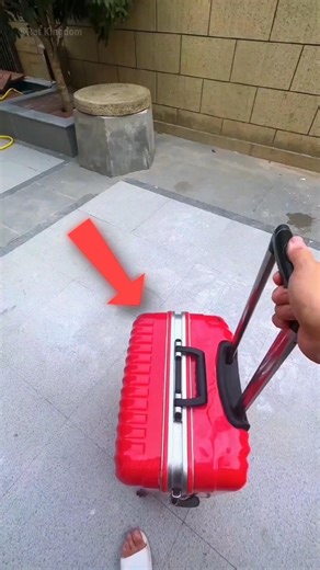 Wife Kicked Him Out… So He Slept With Dogs in AC 😄