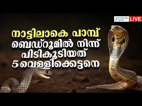 Live: Kerala Snake Bite Death | ബെഡ്റൂമിൽ നിന്ന് പിടികൂടിയത് 5 വെള്ളിക്കെട്ടനെ | Zee Malayalam News