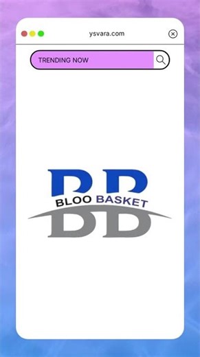 BLOO BASKET 202 Stainless Steel Modular Kitchen Basket Rectangular Sheet Perforated Size 4" / 6" ...