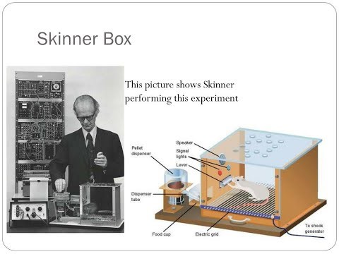A chime, a dish, a drooling hound: an AI song about behaviorism.