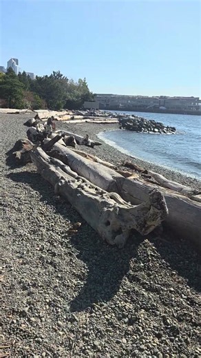 2026.10.15: Seattle Waterfront-Pocket Beach