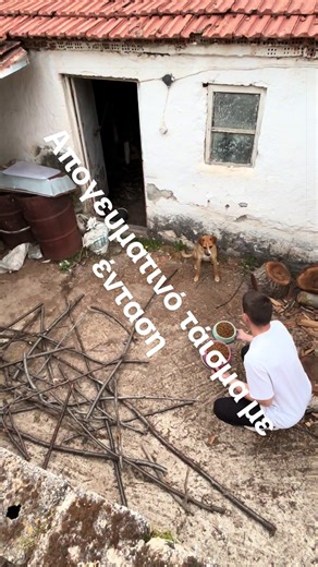 Ταΐζω τα σκυλιά, αλλά σήμερα πίσω από την κάμερα υπάρχει βοήθεια 👀 Όταν έχεις άνθρωπο να σε τραβάει, όλα φαίνονται πιο εύκολα… τα σκυλιά πάντως δεν καταλαβαίνουν διαφορά 😄 #RuralTechLab #Χωριό #Σκυλιά #Καθημερινότητα #FeedingTime