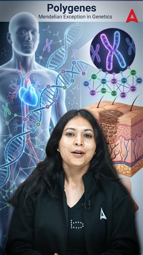 What is Polygenes ? #agricultureadda247 #cuetpg #cuetpg2027 #cuet #genetics