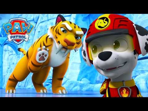 Jungle Animals SCARED! Marshall Finds a Saber-Tooth Surprise! 🐯 | PAW Patrol Official | Compilation