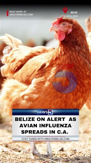 Belize is on heightened surveillance for Highly Pathogenic Avian Influenza