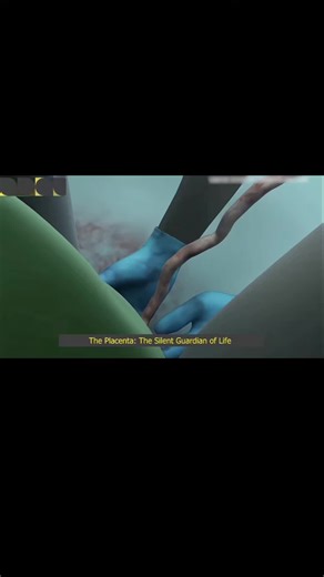 the placenta: Silent guardian of life #miraclescience #learninglife #placenta #viraltiktok #goesviral