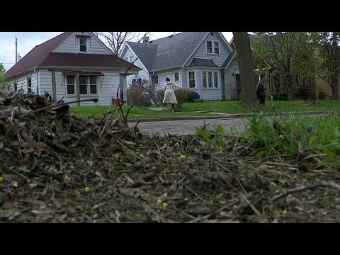 Milwaukee leaf collection changes coming | FOX6 News Milwaukee