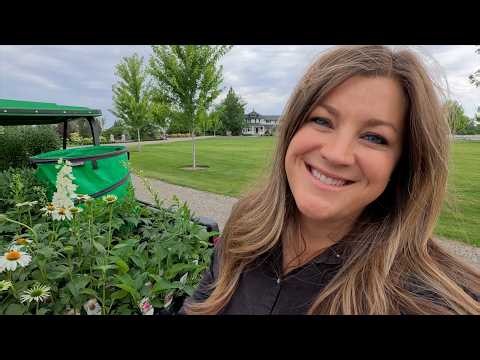Planting Up the Hebe Flower Bed & Transplanting Iris! 🌿🥰💚